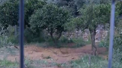 Σοκ στα Χανιά: Σε χωράφι η σορός της αγνοούμενης Σταυρούλας Λεβεντάκη - Ομολόγησε το έγκλημα ο 43χρονος ενοικιαστής