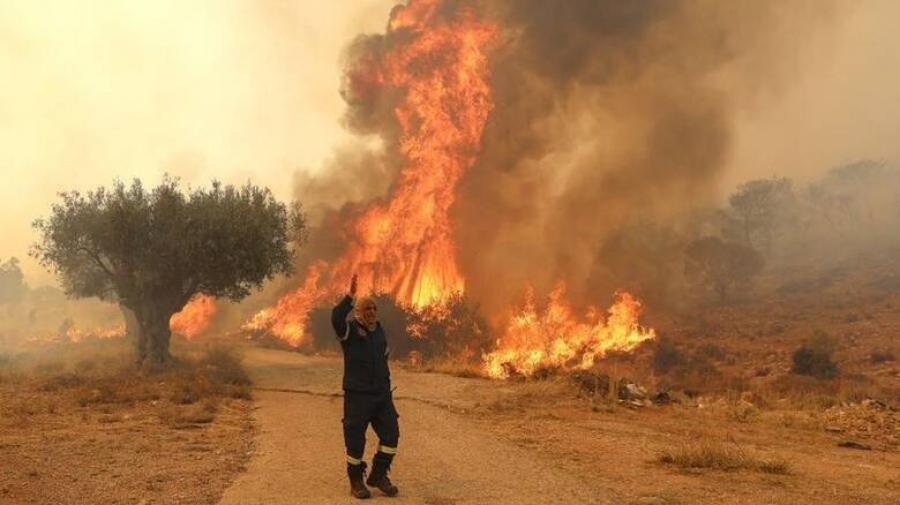 Συνεχίζεται η μάχη με τις αναζωπυρώσεις σε Πάρνηθα, Έβρο, Ροδόπη, Βοιωτία - Νέα φωτιά στην Εύβοια