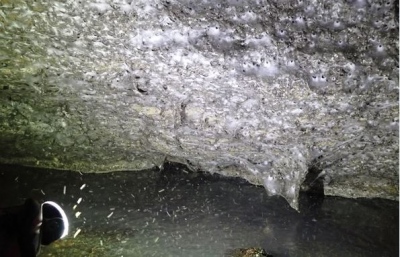 Φοβερή ανακάλυψη στην Ελλάδα - 111.000 αράχνες ύφαναν γιγαντιαίο ιστό - ρεκόρ, στην σπηλιά του τρόμου
