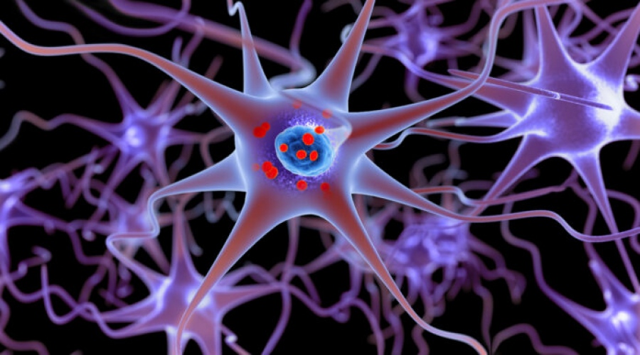 Βρέθηκε η κύρια αιτία της νόσου του Parkinson - Σπουδαία μελέτη δίνει ελπίδες για θεραπεία
