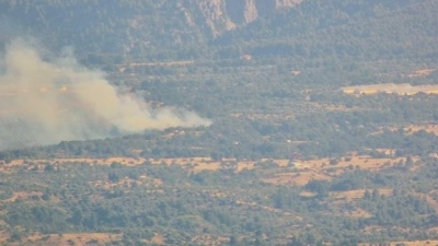 Συναγερμός στην Εύβοια - Πυρκαγιά σε αγροτοδασική έκταση στην περιοχή Λούτσα - Και 5 εναέρια μέσα στην κατάσβεση