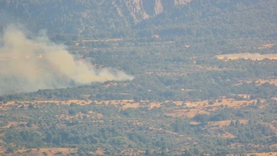 Συναγερμός στην Εύβοια - Πυρκαγιά σε αγροτοδασική έκταση στην περιοχή Λούτσα - Και 5 εναέρια μέσα στην κατάσβεση
