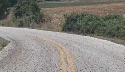 Συνεχόμενα «ντου» από ακρίδες στην Ανατολική Μακεδονία