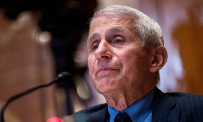 Επικεφαλής του FDA: Ο Fauci «εμπλέκεται 100%» σε «τεράστια συγκάλυψη» για την προέλευση της COVID