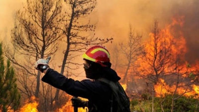Πυρκαγιά στον Μαραθώνα καίει κοντά σε σπίτια - Εκκενώνεται το Ριζάρι, μήνυμα από 112