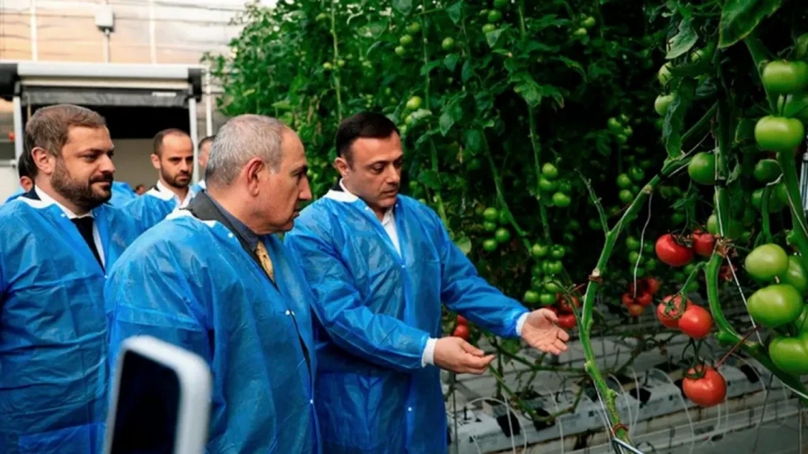 Η Ευρώπη δεν χρειάζεται αρμενικές ντομάτες και ψάρια - Οι υποσχέσεις του Pashinyan αποδείχθηκαν ψέματα