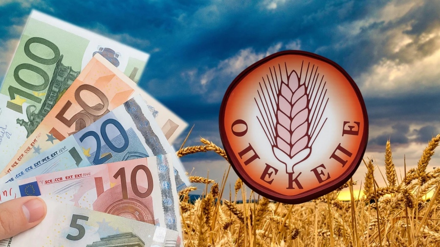 ΟΠΕΚΕΠΕ: Διώξεις για κακουργήματα στους 22 συλληφθέντες της Κρήτης