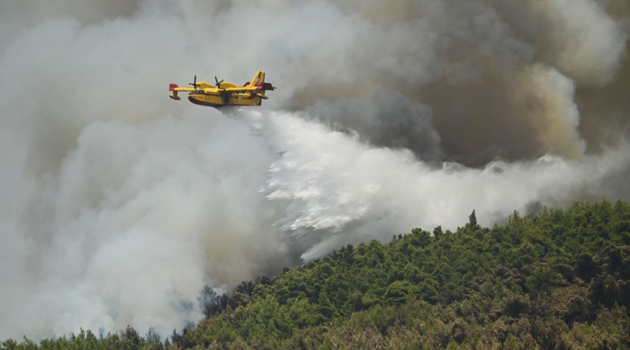 Στις φλόγες δασική έκταση στο Νεοχώρι Πηλίου - Επιχειρούν εναέρια μέσα