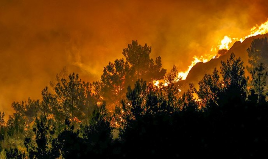 Γ.Γ. Πολιτικής Προστασίας: Πολύ υψηλός κίνδυνος πυρκαγιάς για Αττική και άλλες 4 περιφέρειες της χώρας την Κυριακή 13/7